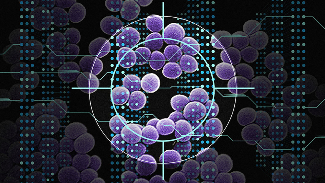 Inteligencia artificial ayuda descubrir nuevos antibióticos después de 60 años