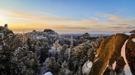 Multimillonario ruso promueve restaurar el antiguo ecosistema de Siberia con el resurgimiento del mamut lanudo