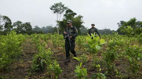 Colombia deroga las multas por posesión de pequeñas cantidades de droga en espacios públicos