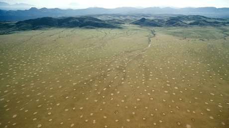 Hallan la posible respuesta definitiva al surgimiento del misterioso fenómeno de los 'anillos de hadas'