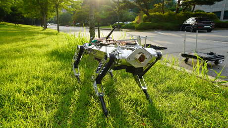 VIDEO: El perro-robot Hound bate un récord en los 100 metros lisos