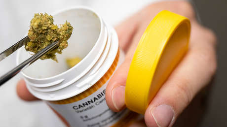 La Rada ucraniana aprueba un proyecto de ley para legalizar la marihuana con fines medicinales