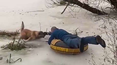 VIDEO: Rescatan a un perro atrapado bajo el hielo con la ayuda de la boya de un niño