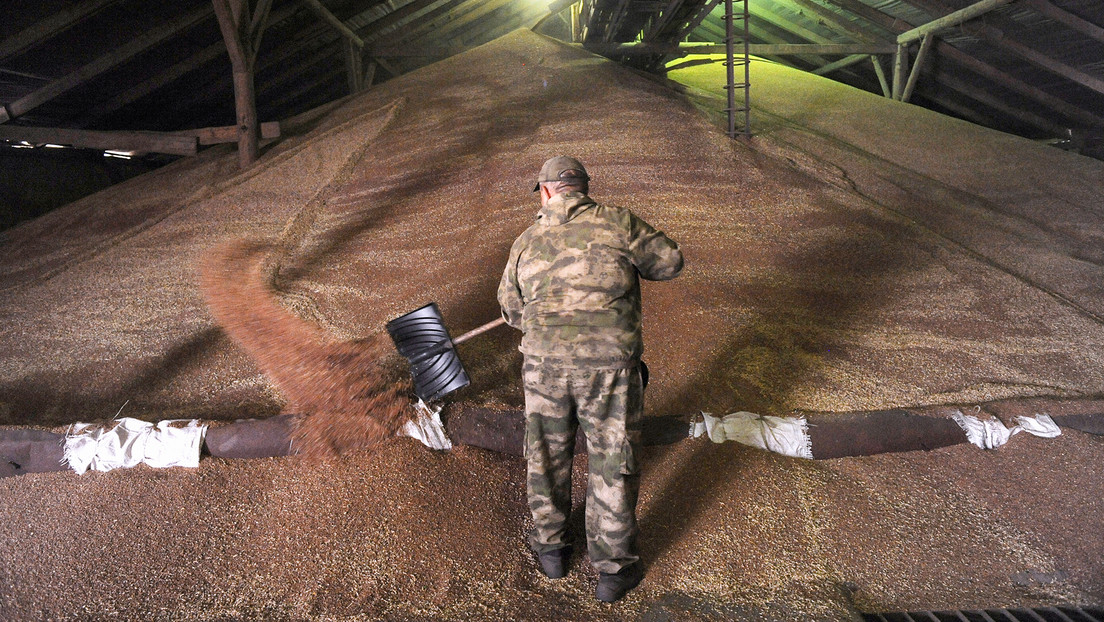 Mali recibe otras 25.000 toneladas de grano ruso gratuito