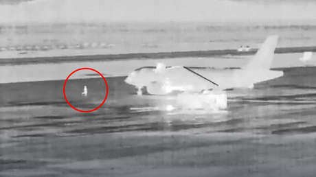 VIDEO: Así logró salir a la pista del aeropuerto el hombre hallado muerto en el motor de un avión en EE.UU.