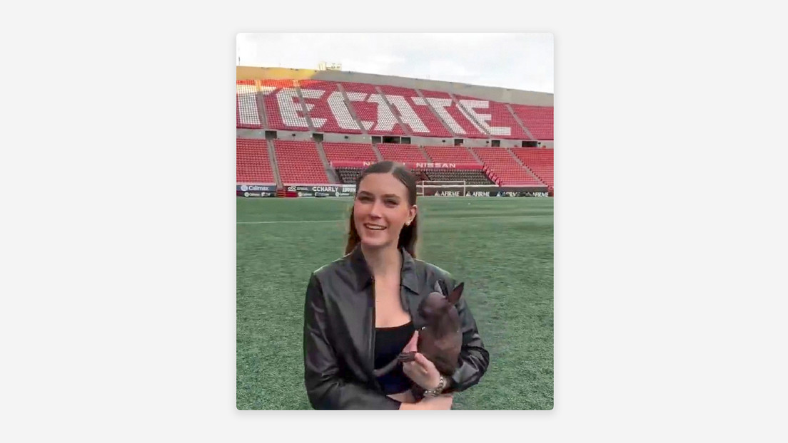 Lo que no se ve en el video de la 'influencer' mexicana Nirvana Hank donde presume de su jirafa