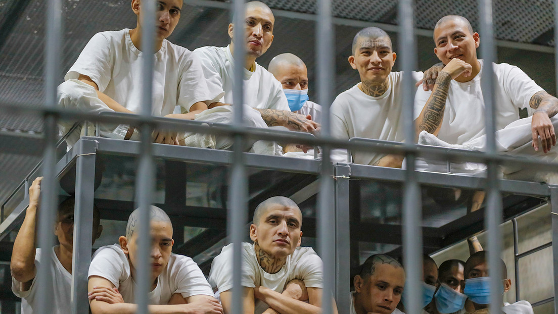 "Para que no puedan matar más": Bukele responde a un tuit sobre alta tasa de encarcelamiento en su país