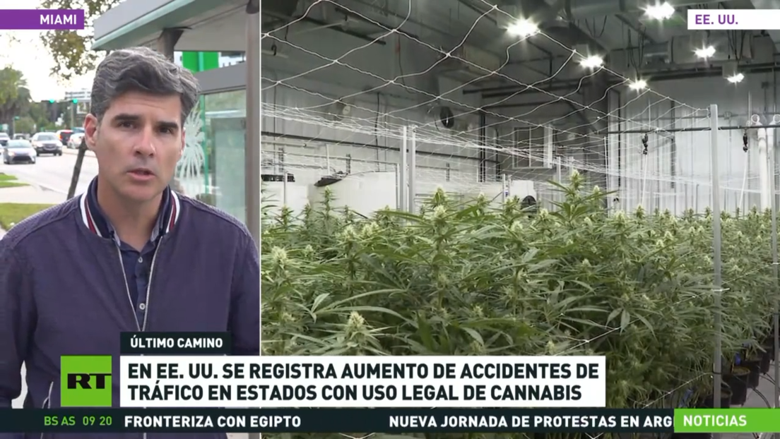 En EE.UU. se registra aumento de accidentes de tráfico en estados con uso legal de cannabis