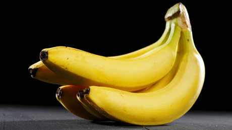 Rusia detecta la presencia de moscas jorobadas en bananas importadas de Ecuador