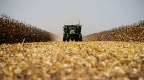 Turquía espera discutir la cuestión del grano durante la visita de Putin