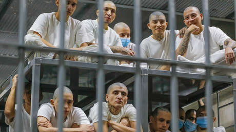 "Para que no puedan matar más": Bukele responde a un tuit sobre alta tasa de encarcelamiento en su país