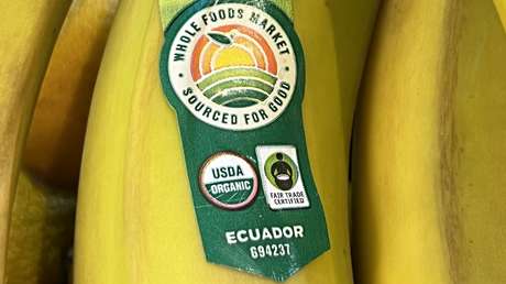 Sector bananero de Ecuador: "No hay mercado que pueda absorber 1,4 millones de cajas semanales que demanda Rusia"