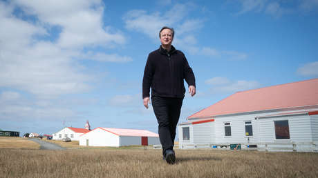 Gobierno de Milei evita condenar visita de David Cameron a Malvinas: "Es un tema de su agenda"