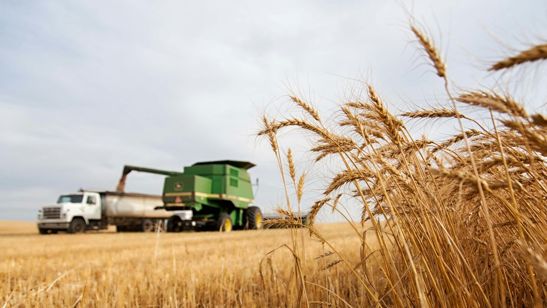 Productor de fertilizantes ruso abre una planta en Brasil