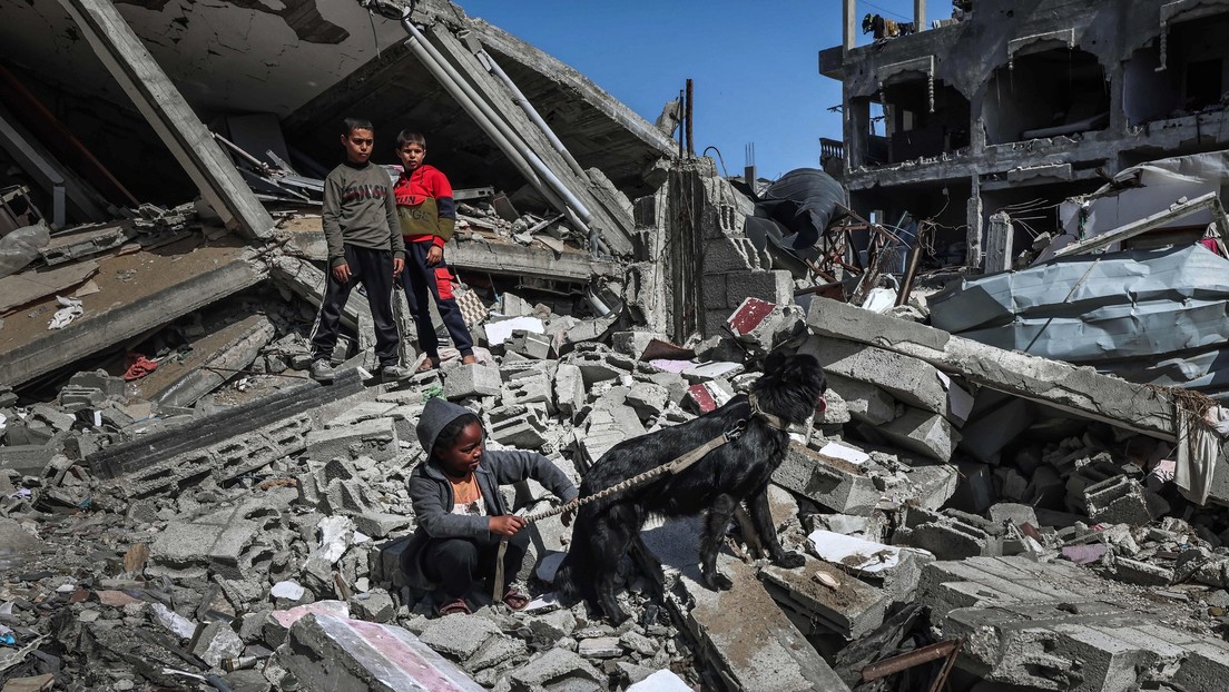 Médicos ante la ONU: "La ofensiva israelí en Rafa conducirá a un baño de sangre y nuevas masacres"