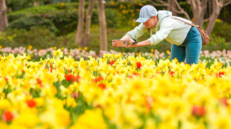 La primavera se adelanta: Febrero de 2024 pudo ser el más cálido jamás registrado