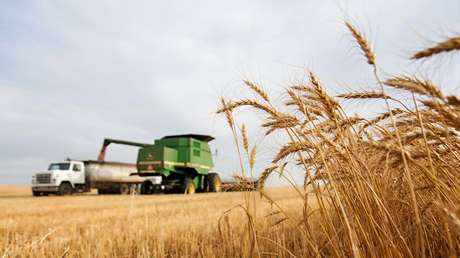 Productor de fertilizantes ruso abre una planta en Brasil