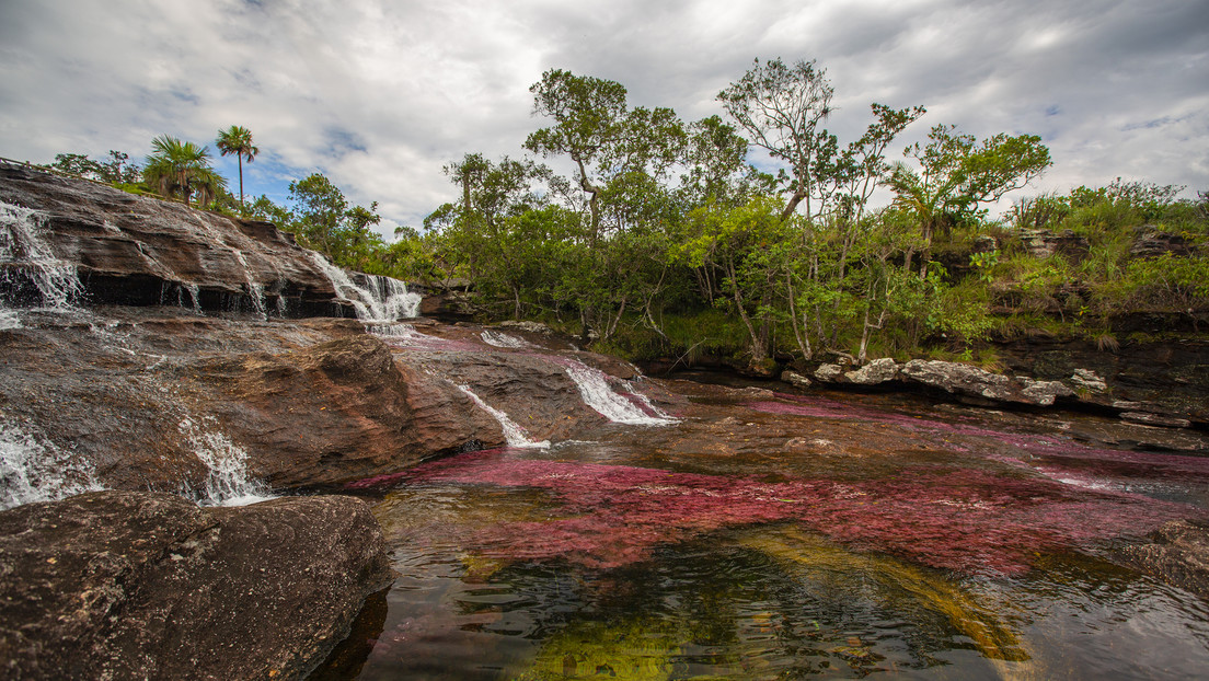 Colombia gana una millonaria demanda a petrolera de EE.UU. que quería explotar un área protegida