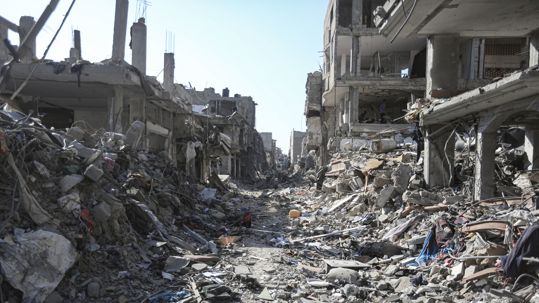 Experta de la ONU: "Israel ha cometido actos de genocidio en Gaza"