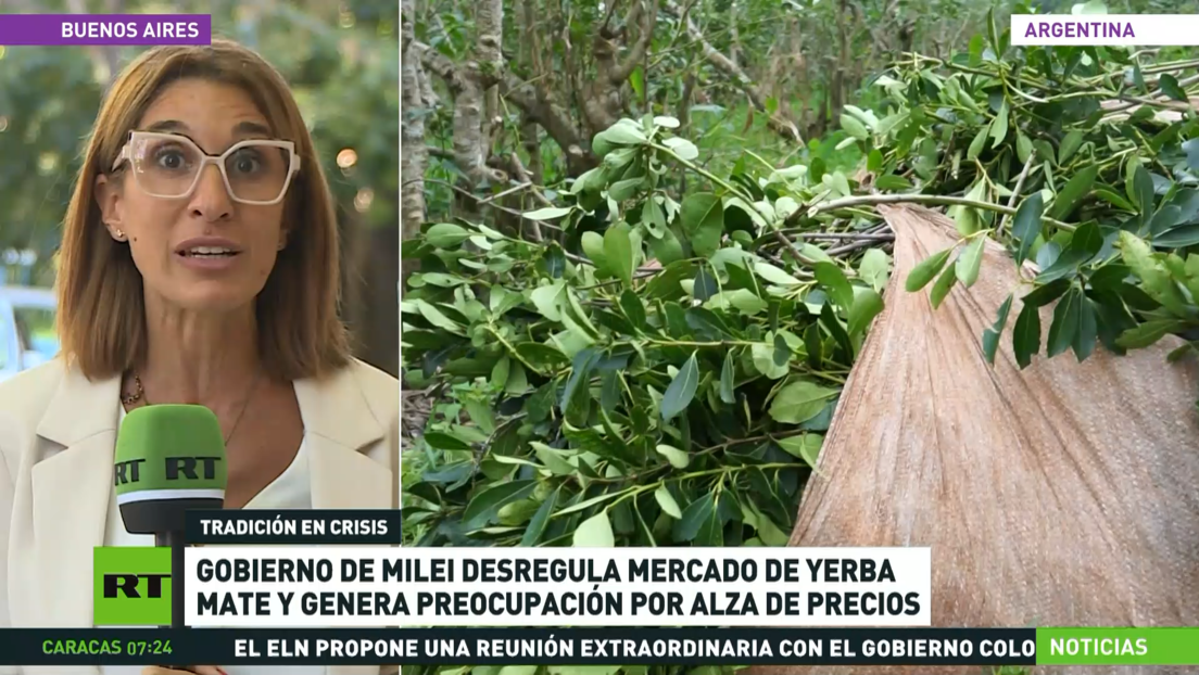 Gobierno de Milei desregula mercado de yerba mate y genera preocupación por alza de precios