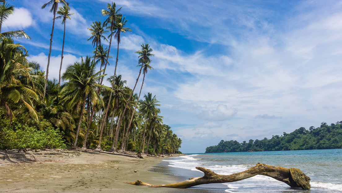 Organizaciones de Colombia advierten "riesgos" en proyecto de reconversión en Gorgona