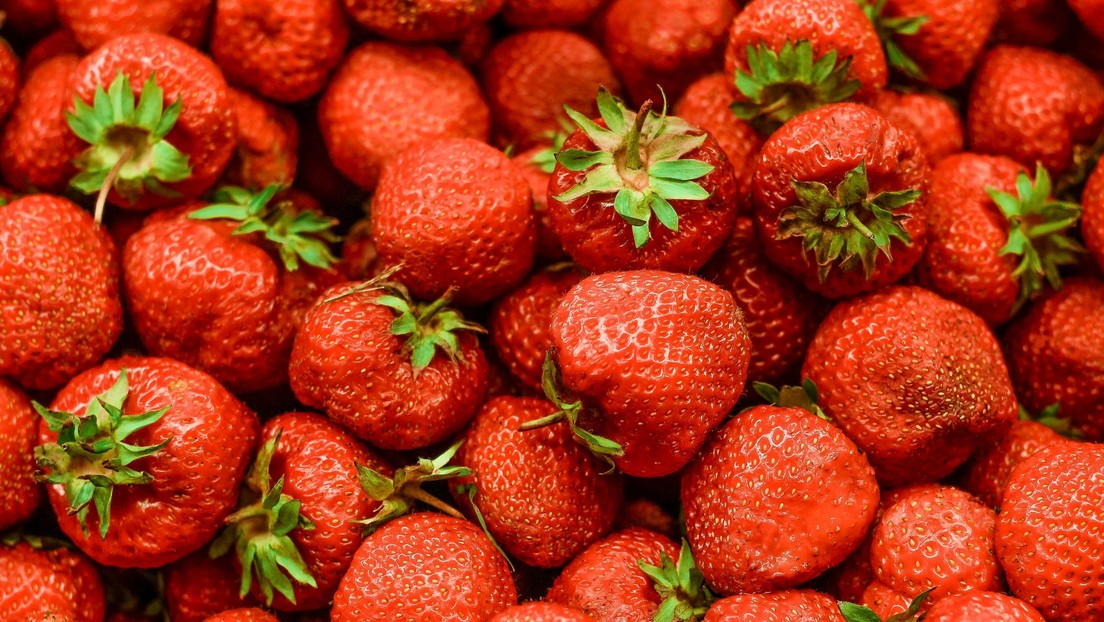 Detectan 'químicos eternos' en alimentos del Reino Unido