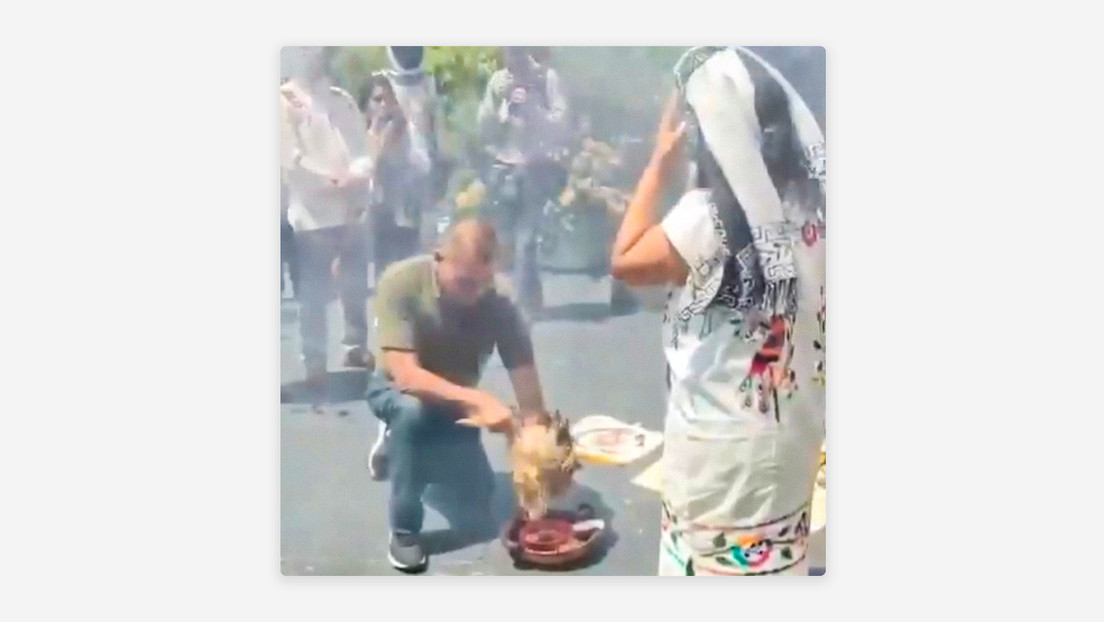 "Inaceptable": Polémica en México por el sacrificio de una gallina en el Senado