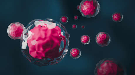 Innovadora terapia de anticuerpos promete rejuvenecer el sistema inmunológico