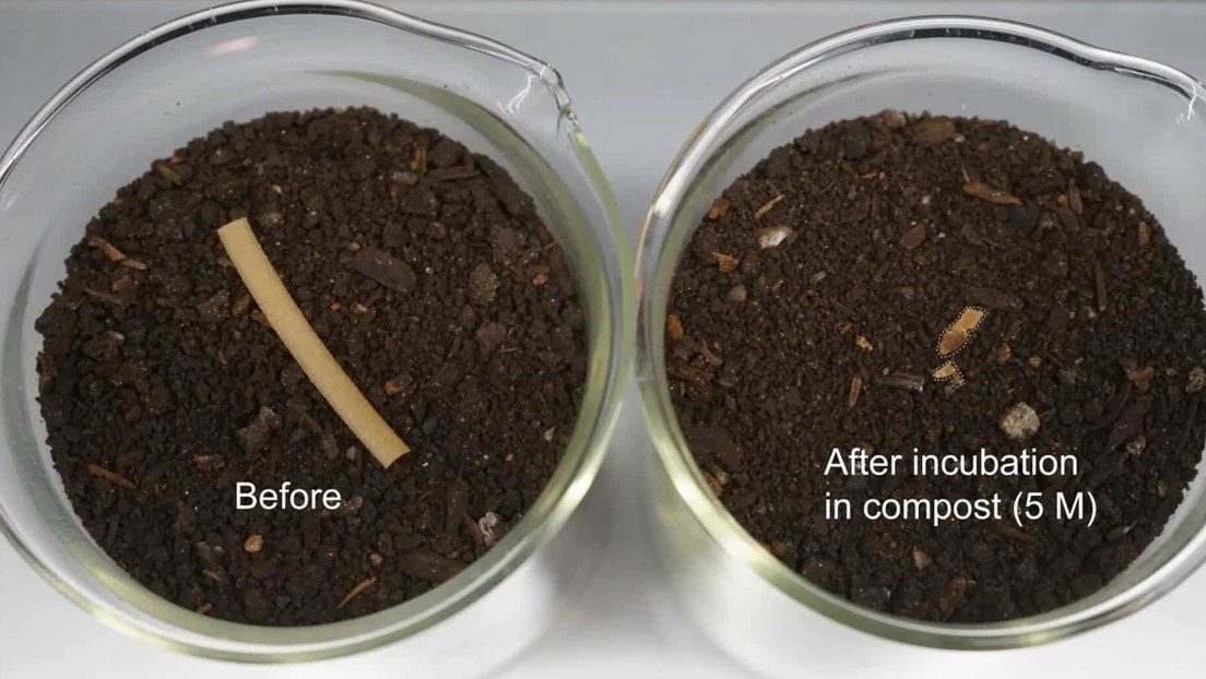 Inventan un 'plástico vivo' altamente biodegradable
