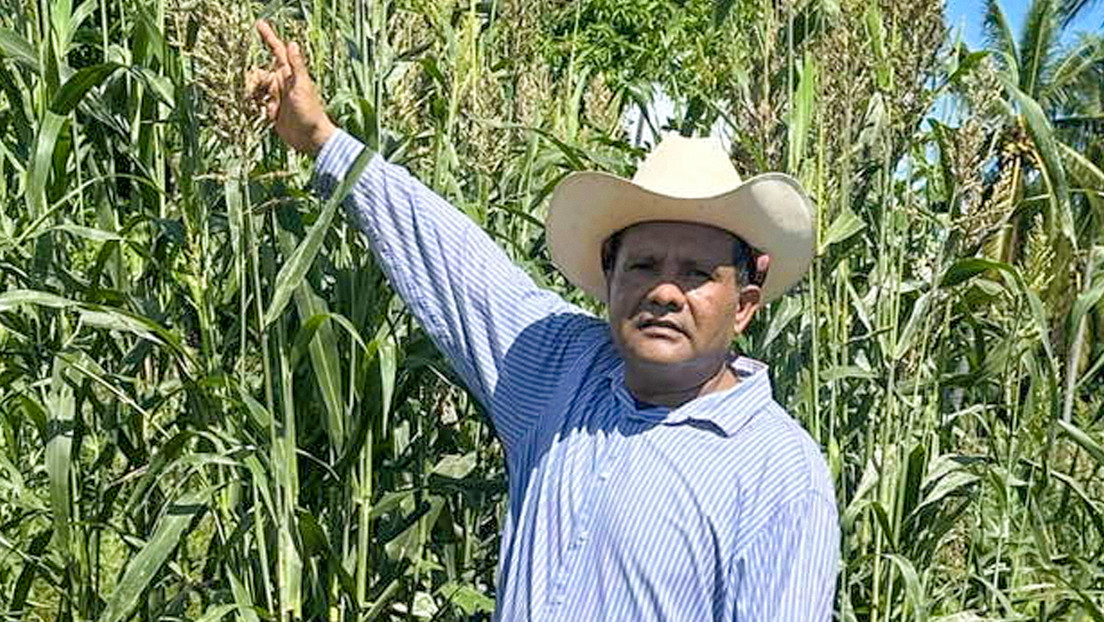 Hallan los cuerpos desmembrados de un político y su esposa en Acapulco