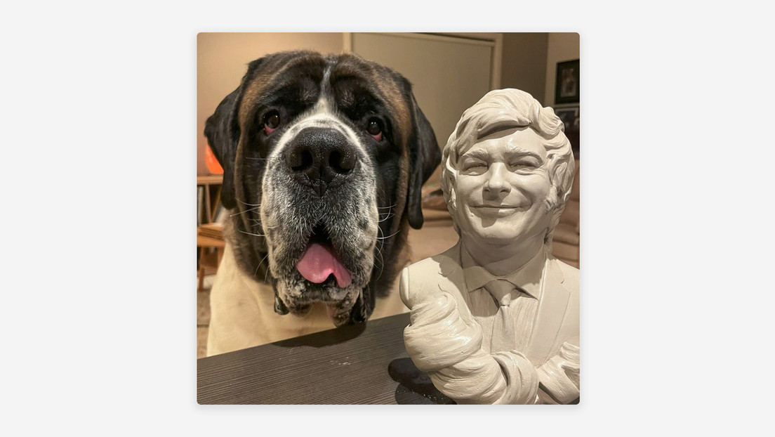 El inusual regalo que mandó Milei a un perro 'influencer'