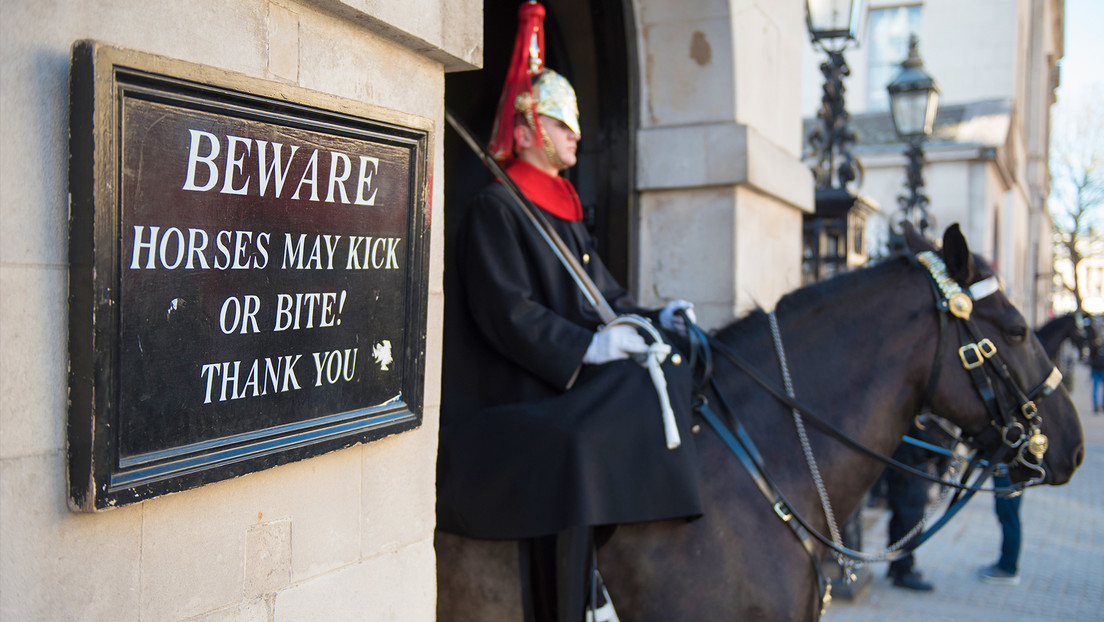 VIDEO: Caballo de la Guardia real británica muerde a una turista