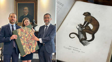 El misterioso robo de un libro histórico en Brasil que reapareció en el Reino Unido 16 años después