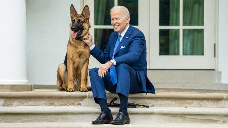 Gobernadora de Dakota del Sur propone matar al perro de Biden