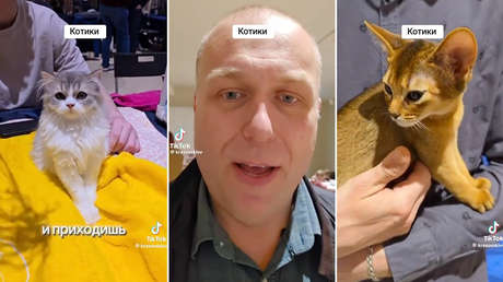 "Mi esposa no me lo permite": un bielorruso se hace viral por su 'amor prohibido' por los gatos