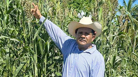 Hallan los cuerpos desmembrados de un político y su esposa en Acapulco