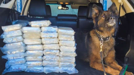 Incautan cientos de kilos de fentanilo y metanfetamina en la frontera entre México y EE.UU.