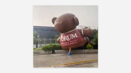 VIDEO: Un oso gigante surca las calles mexicanas 'volando' al compás del viento
