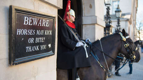 VIDEO: Caballo de la Guardia real británica muerde a una turista