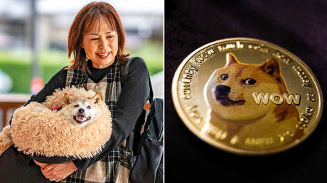 Muere la perrita que inspiró memes y la criptomoneda dogecóin