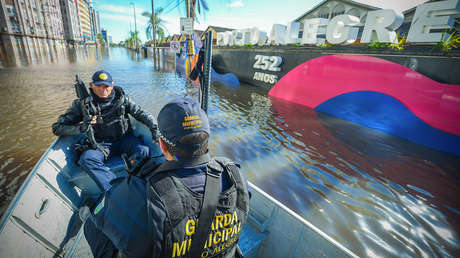 Una enfermedad trasmitida por orina de rata deja 4 muertos en el devastado sur de Brasil