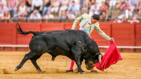 Decisión histórica: Colombia prohíbe las corridas de toros