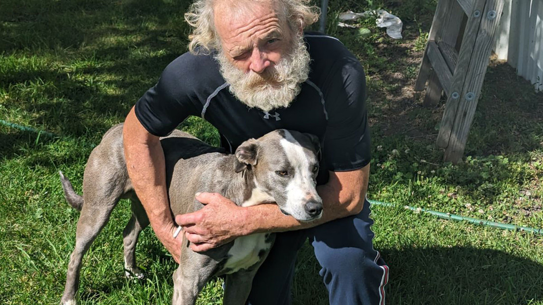 Un perro recorre 6 kilómetros para salvar a su dueño tras sufrir un accidente en EE.UU.