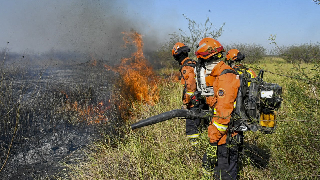 Brasil investiga a los autores de los incendios en el Pantanal