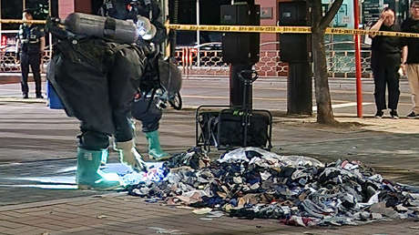 Corea del Sur recibe una nueva tanda de globos con basura desde el Norte