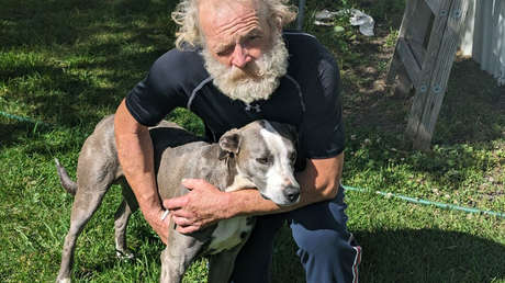 Un perro recorre 6 kilómetros para salvar a su dueño tras sufrir un accidente en EE.UU.