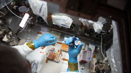 Avance espacial: cómo la EEI impulsa nuevos descubrimientos en la medicina