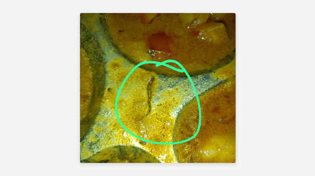 Estudiantes hallan trozos de serpiente en su comida en una universidad de la India