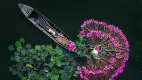 Publican la lista de finalistas del Concurso de Fotoperiodismo Andréi Stenin 2024