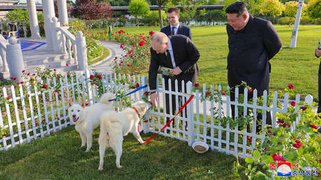 NUEVAS IMÁGENES: Putin se emociona al ver el original regalo de Kim Jong-un